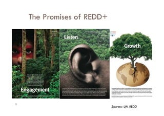3
The Promises of REDD+
Sources: UN-REDD
 