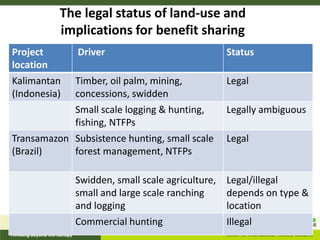 The legal status of land-use and
          implications for benefit sharing
Project       Driver                              Status
location
Kalimantan  Timber, oil palm, mining,             Legal
(Indonesia) concessions, swidden
            Small scale logging & hunting,        Legally ambiguous
            fishing, NTFPs
Transamazon Subsistence hunting, small scale      Legal
(Brazil)    forest management, NTFPs

              Swidden, small scale agriculture,   Legal/illegal
              small and large scale ranching      depends on type &
              and logging                         location
              Commercial hunting                  Illegal
 