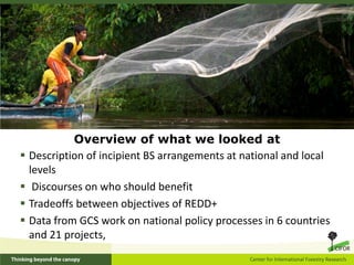 Overview of what we looked at
 Description of incipient BS arrangements at national and local
  levels
 Discourses on who should benefit
 Tradeoffs between objectives of REDD+
 Data from GCS work on national policy processes in 6 countries
  and 21 projects,
 
