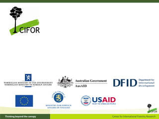 REDD+ benefit sharing: discourses on who ‘should’ benefit