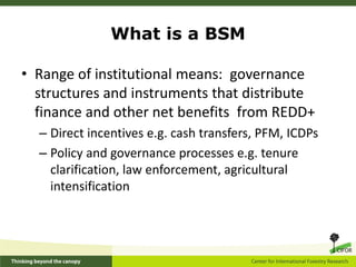 What is a BSM

• Range of institutional means: governance
  structures and instruments that distribute
  finance and other net benefits from REDD+
  – Direct incentives e.g. cash transfers, PFM, ICDPs
  – Policy and governance processes e.g. tenure
    clarification, law enforcement, agricultural
    intensification
 