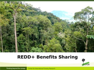 REDD+ Benefits Sharing
 