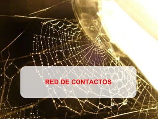 RED DE CONTACTOS 