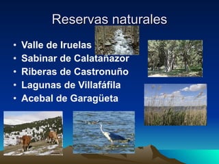 Reservas naturales Valle de Iruelas Sabinar de Calatañazor Riberas de Castronuño Lagunas de Villafáfila Acebal de Garagüeta 
