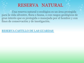 RESERVA NATURAL
         Una reserva natural o ecológica es un área protegida
para la vida silvestre, flora o fauna, o con rasgos geológicos de
gran interés que es protegida o manejada por el hombre y con
fines de conservación y de inestigación.


RESERVA CASTILLO DE LAS GUARDAS
 