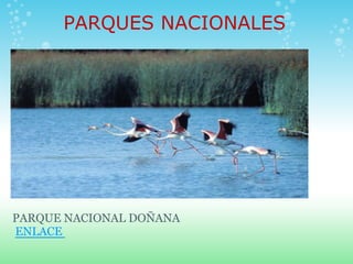 PARQUES NACIONALES




PARQUE NACIONAL DOÑANA
ENLACE
 