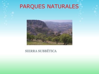 PARQUES NATURALES




 SIERRA SUBBÉTICA
 