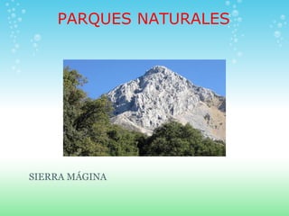 PARQUES NATURALES




SIERRA MÁGINA
 