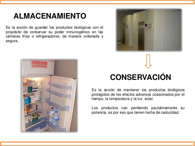 Red de frio (inmunizaciones)