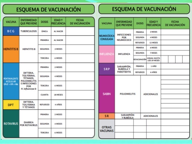cartilla de vacunacion