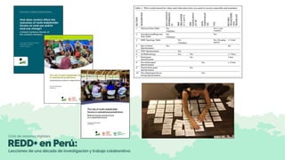 Proyecto comparativo global sobre foros multiactor subnacionales en la gestión de paisajes