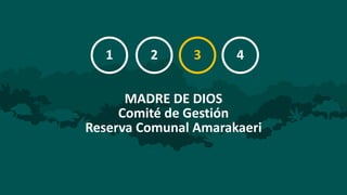 Equidad en los foros multiactor: resultados de cuatro foros en Ucayali, Loreto, Madre de Dios y San Martín