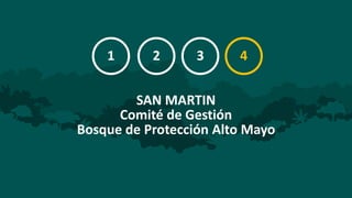 Equidad en los foros multiactor: resultados de cuatro foros en Ucayali, Loreto, Madre de Dios y San Martín