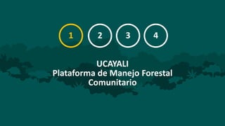 Equidad en los foros multiactor: resultados de cuatro foros en Ucayali, Loreto, Madre de Dios y San Martín