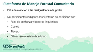 Plataforma de Manejo Forestal Comunitario
• Falta de atención a las desigualdades de poder
• No-participantes indígenas ma...