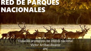 RED DE PARQUES
NACIONALES
Espacios protegidos de interés nacional
Víctor Arribas Álvarez
4ºC
 