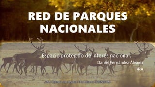 RED DE PARQUES
NACIONALES
Espacio protegido de interés nacional.
Daniel Fernández Álvarez
4ºA
 