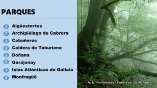 PARQUES
Aigüestortes1
2
3
4
5
6
7
8
Archipiélago de Cabrera
Cabañeros
Caldera de Taburiene
Doñana
Garajonay
Islas Atlánticas de Galicia
Monfragüë
 