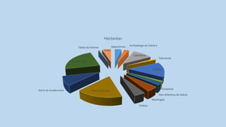 Aigüestortes Archipiélago de Cabrera
Cabañeros
Taburiente
Doñana
Garajonay
Islas Atlánticas de Galicia
Monfragüe
Ordesa
Picos de EuropaSierra de Guadarrama
Sierra Nevada
Tablas de Daimiel
Teide
Hectaréas
 