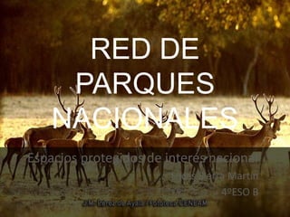 RED DE
PARQUES
NACIONALES
Espacios protegidos de interés nacional
Lucas Sierra Martín
4ºESO B
 