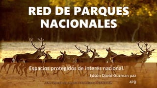 RED DE PARQUES
NACIONALES
Espacios protegidos de interés nacional.
Edson David Guzman paz
4ºB
 