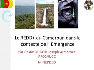 Le REDD+ au Cameroun dans le contexte de l' Emergence