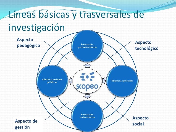 Red De Trabajo Colaborativo