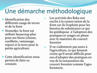 Une démarche méthodologique
 Identification des
différents usage de terres
et de la foret
 Nomedjo: la foret est
utilisée beaucoup plus
pour ses biens (chasse,
cueillette, ramassage,
repos) et la terre pour la
petite agriculture.
 Cette identification nous
permis de faire 02
constats
1. Les activités des Baka son
enclin à la conservation de la
foret car ils l’exploite pour les
besoins de subsistance ce qui
les prédispose à l’adoption des
pratiques et usages en phase
avec le maintien du couvert
forestier
2. Il ne s’adonnent pas assez à
l’agriculture, ce qui laissent
croire qu’il serait difficile pour
eux d’adopter des pratiques en
vue de la restauration du
couvert forestier comme l’agro
foresterie.
 