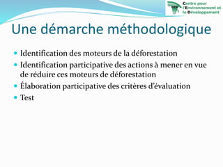 Redd+ et usages locaux des forêts