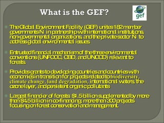 Global Environment Facility - Ulrich Apel | PPT