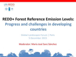 REDD+ Forest Reference Emission Levels:
Progress and challenges in developing
countries
Global Landscapes Forum | Paris
5 ...