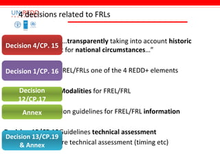 Redd+ forest reference emission levels progress and challenges in developing countries