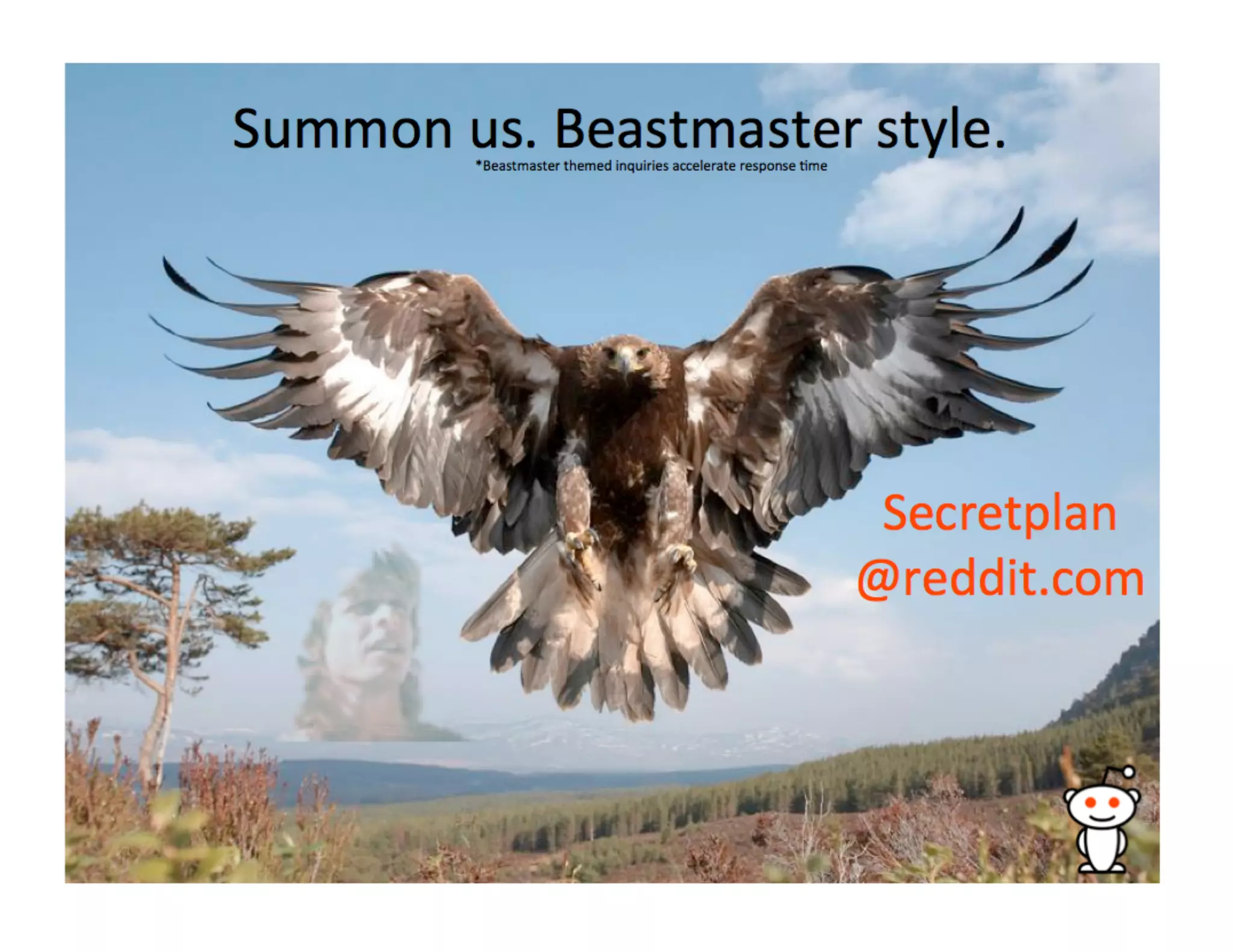 Reddit Advertisement Sales Pitch