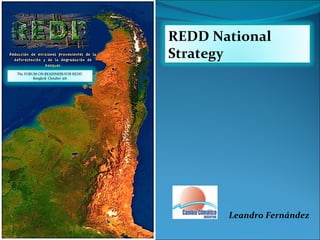 Leandro Fernández REDD National Strategy  The FORUM ON READINESS FOR REDD  Bangkok  Octuber  3th 