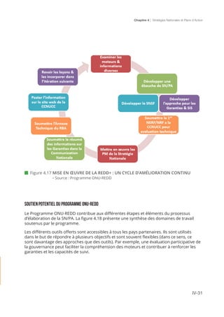 Chapitre 4 | Stratégies Nationales et Plans d’Action
IV-31
 Figure 4.17 MISE EN ŒUVRE DE LA REDD+ : UN CYCLE D’AMÉLIORATION CONTINU
		 - Source : Programme ONU-REDD
Soutien potentiel du programme ONU-REDD
Le Programme ONU-REDD contribue aux différentes étapes et éléments du processus
d’élaboration de la SN/PA. La figure 4.18 présente une synthèse des domaines de travail
soutenus par le programme.
Les différents outils offerts sont accessibles à tous les pays partenaires. Ils sont utilisés
dans le but de répondre à plusieurs objectifs et sont souvent flexibles (dans ce sens, ce
sont davantage des approches que des outils). Par exemple, une évaluation participative de
la gouvernance peut faciliter la compréhension des moteurs et contribuer à renforcer les
garanties et les capacités de suivi.
 