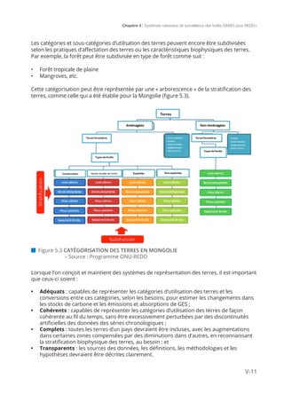 Chapitre 5 | Systèmes nationaux de surveillance des forêts (SNSF) pour REDD+
V-11
 Figure 5.3 CATÉGORISATION DES TERRES EN MONGOLIE
		- Source : Programme ONU-REDD
Lorsque l’on conçoit et maintient des systèmes de représentation des terres, il est important
que ceux-ci soient :
•	 Adéquats : capables de représenter les catégories d’utilisation des terres et les
conversions entre ces catégories, selon les besoins, pour estimer les changements dans
les stocks de carbone et les émissions et absorptions de GES ;
•	 Cohérents : capables de représenter les catégories d’utilisation des terres de façon
cohérente au fil du temps, sans être excessivement perturbées par des discontinuités
artificielles des données des séries chronologiques ;
•	 Complets : toutes les terres d’un pays devraient être incluses, avec les augmentations
dans certaines zones compensées par des diminutions dans d’autres, en reconnaissant
la stratification biophysique des terres, au besoin ; et
•	 Transparents : les sources des données, les définitions, les méthodologies et les
hypothèses devraient être décrites clairement.
Les catégories et sous-catégories d’utilisation des terres peuvent encore être subdivisées
selon les pratiques d’affectation des terres ou les caractéristiques biophysiques des terres.
Par exemple, la forêt peut être subdivisée en type de forêt comme suit :
•	 Forêt tropicale de plaine
•	 Mangroves, etc.
Cette catégorisation peut être représentée par une « arborescence » de la stratification des
terres, comme celle qui a été établie pour la Mongolie (figure 5.3).
 