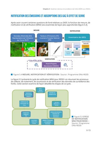 Chapitre 5 | Systèmes nationaux de surveillance des forêts (SNSF) pour REDD+
V-13
NOTIFICATION DES ÉMISSIONS ET ABSORPTIONS DES GAZ À EFFET DE SERRE
Après avoir couvert certaines questions de fond relatives au SNSF, la fonction de mesure, de
notification et de vérification (MNV) sera examinée de façon plus approfondie (figure 5.4).
 Figure 5.4 MESURE, NOTIFICATION ET VÉRIFICATION - Source : Programme ONU-REDD
 Figure 5.5 CYCLE
DE NOTIFICATION
MNV POUR REDD+ -
Source : Programme
ONU-REDD
La figure 5.5 présente le cycle de notification MNV pour REDD+ en résumant les processus
de collecte, de traitement, de soumission et de vérification des données de surveillance des
forêts. Cette section examine de façon détaillée les étapes de ce cycle.
 