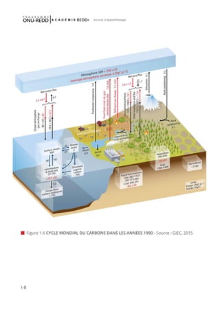 I-8
Journal d'apprentissage
 Figure 1.6 CYCLE MONDIAL DU CARBONE DANS LES ANNÉES 1990 - Source : GIEC, 2015
 