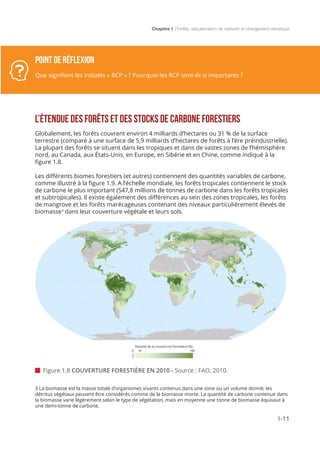 Chapitre 1 | Forêts, séquestration de carbone et changement climatique
I-11
L’ÉTENDUE DES FORÊTS ET DES STOCKS DE CARBONE FORESTIERS
Globalement, les forêts couvrent environ 4 milliards d’hectares ou 31 % de la surface
terrestre (comparé à une surface de 5,9 milliards d’hectares de forêts à l’ère préindustrielle).
La plupart des forêts se situent dans les tropiques et dans de vastes zones de l’hémisphère
nord, au Canada, aux États-Unis, en Europe, en Sibérie et en Chine, comme indiqué à la
figure 1.8.
Les différents biomes forestiers (et autres) contiennent des quantités variables de carbone,
comme illustré à la figure 1.9. A l’échelle mondiale, les forêts tropicales contiennent le stock
de carbone le plus important (547,8 millions de tonnes de carbone dans les forêts tropicales
et subtropicales). Il existe également des différences au sein des zones tropicales, les forêts
de mangrove et les forêts marécageuses contenant des niveaux particulièrement élevés de
biomasse3
dans leur couverture végétale et leurs sols.
 Figure 1.8 COUVERTURE FORESTIÈRE EN 2010 - Source : FAO, 2010.
POINT DE RÉFLEXION
Que signifient les initiales « RCP » ? Pourquoi les RCP sont-ils si importants ?
3 La biomasse est la masse totale d’organismes vivants contenus dans une zone ou un volume donné; les
détritus végétaux peuvent être considérés comme de la biomasse morte. La quantité de carbone contenue dans
la biomasse varie légèrement selon le type de végétation, mais en moyenne une tonne de biomasse équivaut à
une demi-tonne de carbone.
Densité de la couverture forestière (%)
 