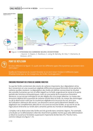 I-12
Journal d'apprentissage
 Figure 1.9 STOCKAGE DU CARBONE SELON L’ECOSYSTEME
		- Source : V. Kapos, C. Ravilious, C. Leng, M. Bertzky, M. Osti, T. Clements, B. 		
		Dickson, 2010
POINT DE RÉFLEXION
En vous référant à la figure 1.9, quels sont les différents types d’écosystèmes qui existent dans
votre pays ?
Quelle est l’importance du couvert forestier et où est-il situé ? Existe-t-il différents types
d’habitat boisé (par ex. les mangroves, les forêts marécageuses) ?
ÉMISSIONS PROVENANT DES STOCKS DE CARBONE FORESTIER
Vu que les forêts contiennent des stocks de carbone importants, leur dégradation et/ou
leur conversion en une couverture végétale différente provoque l’émission d’une partie du
carbone qu’elles stockent. La dégradation des forêts est définie comme étant le résultat
des activités humaines qui ont un effet négatif sur la forêt, engendrant le retrait et la perte
partiels des fonctions écosystémiques, mais où une partie de la couverture forestière
demeure, ce qui est par exemple le cas des dégâts dus à la coupe sélective. Le niveau des
émissions dépend de la quantité de carbone stocké dans la forêt, du niveau des dommages
ou de la destruction subis par la couverture végétale et la structure du sol, ainsi que
de l’utilisation ultérieure des terres. Les émissions seront particulièrement élevées si la
végétation est complètement détruite et si la zone est ensuite brûlée, ce qui est le cas de
l’agriculture itinérante sur brûlis dans certaines parties du monde en développement.
L’ampleur de la destruction des forêts est très grande dans certaines régions. Par exemple,
une étude sur la déforestation à Bornéo récemment publiée montre que cette déforestation
a réduit la couverture forestière auparavant importante de Bornéo (75,7 %) d’un tiers,
comme indiqué à la figure 1.10.
Carbone stocké par biome
(Gigatonne de C)
Forêt
subtropicale et
tropicale
Prairies
subtropicales
et tropicales,
savannes et
savannes
arbustives
Déserts et
savannes
arbustives sèches
Déserts et
savannes
arbustives sèches
Forêt tempérée
Forêt boréale
Tundra
Lac
Roche et
glace
547,8
285,3
178,0
183,7
314,9
384,2
155,4
0,98
7,47
Tundra
Forêt boréale
Forêt tempérée
Déserts et savannes arbustives sèches
Déserts et savannes arbustives sèches
Prairies subtropicales et tropicales, savannes et savannes arbustives
Forêt subtropicale et tropicale
 