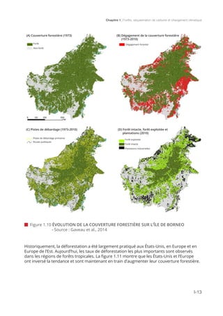 Chapitre 1 | Forêts, séquestration de carbone et changement climatique
I-13
 Figure 1.10 ÉVOLUTION DE LA COUVERTURE FORESTIÈRE SUR L’ÎLE DE BORNEO
	 - Source : Gaveau et al., 2014
Historiquement, la déforestation a été largement pratiqué aux États-Unis, en Europe et en
Europe de l’Est. Aujourd’hui, les taux de déforestation les plus importants sont observés
dans les régions de forêts tropicales. La figure 1.11 montre que les États-Unis et l’Europe
ont inversé la tendance et sont maintenant en train d’augmenter leur couverture forestière.
(A) Couverture forestière (1973) (B) Dégagement de la couverture forestière
(1973-2010)
(C) Pistes de débardage (1973-2010) (D) Forêt intacte, forêt exploitée et 	
plantations (2010)
Forêt
Non-forêt
Dégagement forestier
Pistes de débardage primaires
Routes publiques
Forêt exploitée
Forêt intacte
Plantations industrielles
 