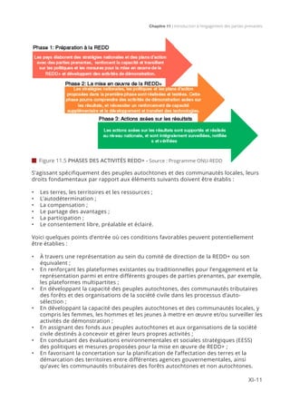 Chapitre 11 | Introduction à l’engagement des parties prenantes
XI-11
 Figure 11.5 PHASES DES ACTIVITÉS REDD+ - Source : Programme ONU-REDD
S’agissant spécifiquement des peuples autochtones et des communautés locales, leurs
droits fondamentaux par rapport aux éléments suivants doivent être établis :
•	 Les terres, les territoires et les ressources ;
•	 L’autodétermination ;
•	 La compensation ;
•	 Le partage des avantages ;
•	 La participation ;
•	 Le consentement libre, préalable et éclairé.
Voici quelques points d’entrée où ces conditions favorables peuvent potentiellement
être établies :
•	 À travers une représentation au sein du comité de direction de la REDD+ ou son
équivalent ;
•	 En renforçant les plateformes existantes ou traditionnelles pour l’engagement et la
représentation parmi et entre différents groupes de parties prenantes, par exemple,
les plateformes multipartites ;
•	 En développant la capacité des peuples autochtones, des communautés tributaires
des forêts et des organisations de la société civile dans les processus d’auto-
sélection ;
•	 En développant la capacité des peuples autochtones et des communautés locales, y
compris les femmes, les hommes et les jeunes à mettre en œuvre et/ou surveiller les
activités de démonstration ;
•	 En assignant des fonds aux peuples autochtones et aux organisations de la société
civile destinés à concevoir et gérer leurs propres activités ;
•	 En conduisant des évaluations environnementales et sociales stratégiques (EESS)
des politiques et mesures proposées pour la mise en œuvre de REDD+ ;
•	 En favorisant la concertation sur la planification de l’affectation des terres et la
démarcation des territoires entre différentes agences gouvernementales, ainsi
qu’avec les communautés tributaires des forêts autochtones et non autochtones.
 