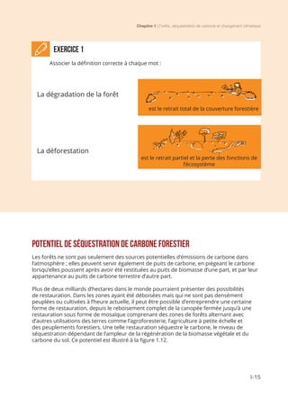 Chapitre 1 | Forêts, séquestration de carbone et changement climatique
I-15
POTENTIEL DE SÉQUESTRATION DE CARBONE FORESTIER
Les forêts ne sont pas seulement des sources potentielles d’émissions de carbone dans
l’atmosphère ; elles peuvent servir également de puits de carbone, en piégeant le carbone
lorsqu’elles poussent après avoir été restituées au puits de biomasse d’une part, et par leur
appartenance au puits de carbone terrestre d’autre part.
Plus de deux milliards d’hectares dans le monde pourraient présenter des possibilités
de restauration. Dans les zones ayant été déboisées mais qui ne sont pas densément
peuplées ou cultivées à l’heure actuelle, il peut être possible d’entreprendre une certaine
forme de restauration, depuis le reboisement complet de la canopée fermée jusqu’à une
restauration sous forme de mosaïque comprenant des zones de forêts alternant avec
d’autres utilisations des terres comme l’agroforesterie, l’agriculture à petite échelle et
des peuplements forestiers. Une telle restauration séquestre le carbone, le niveau de
séquestration dépendant de l’ampleur de la régénération de la biomasse végétale et du
carbone du sol. Ce potentiel est illustré à la figure 1.12.
est le retrait total de la couverture forestière
est le retrait partiel et la perte des fonctions de
l’écosystème
ExerciCe 1
Associer la définition correcte à chaque mot :
La dégradation de la forêt
La déforestation
 