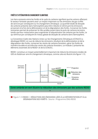 Chapitre 1 | Forêts, séquestration de carbone et changement climatique
I-17
 Figure 1.13 REDD+ = RÉDUCTION DES ÉMISSIONS LIÉES À LA DÉFORESTATION ET À LA 		
		 DÉGRADATION DES FORÊTS - Source : Programme ONU-REDD
FORÊTS ET ATTÉNUATION DU CHANGEMENT CLIMATIQUE
Les liens existants entre les forêts et le cycle du carbone signifient que les actions affectant
le secteur forestier peuvent avoir un impact important sur les émissions de gaz à effet
de serre et par conséquent sur le changement climatique. La quantité totale de dioxyde
de carbone présente dans l’atmosphère peut être réduite en diminuant les émissions
provenant à la fois de la déforestation et de la dégradation des forêts. Conserver les forêts
existantes permet de préserver le rôle qu’elles jouent dans le puits de carbone terrestre,
tandis que leur restauration peut augmenter la séquestration de carbone par les forêts, ce
qui diminue par conséquent le niveau global de dioxyde de carbone dans l’atmosphère.
La Convention-Cadre des Nations Unies sur les Changements Climatiques (CCNUCC) a
développé REDD+ en vue de réduire les émissions résultant de la déforestation et de la
dégradation des forêts, conserver les stocks de carbone forestiers, gérer les forêts de
manière durable et accroître les stocks de carbone forestiers. Le module 2 présente les
éléments essentiels de la REDD+ et de la CCNUCC.
REDD+ constitue un moyen potentiellement important de réduire les émissions totales de
GES et d’atténuer ainsi le changement climatique, comme cela est illustré à la figure 1.13.
 