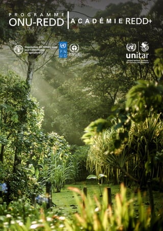 Le Journal d'Apprentissage de l'Académie REDD+