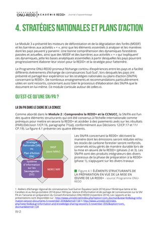 IV-2
Journal d'apprentissage
 Figure 4.1 ÉLÉMENTS STRUCTURANTS DE
LA PRÉPARATION EN VUE DE LA MISE EN
ŒUVRE DE LA REDD+ - source: Programme ONU-
REDD
4.Stratégiesnationalesetplansd’action
Le Module 3 a présenté les moteurs de déforestation et de la dégradation des forêts (MDDF)
et les barrières aux activités « + », ainsi que les éléments essentiels à analyser et les manières
dont les pays peuvent y parvenir. Une bonne compréhension des dynamiques forestières
passées et actuelles, ainsi que des MDDF et des barrières aux activités « + » qui ‘expliquent’
ces dynamiques, jette les bases analytiques essentielles à partir desquelles les pays pourront
progressivement élaborer leur vision pour la REDD+ et la stratégie pour l’atteindre.
Le Programme ONU-REDD promeut l’échange continu d’expériences entre les pays et a facilité
différents événements d’échange de connaissances Sud-Sud1
, lors desquels les pays ont
présenté et partagé leur expérience sur les stratégies nationales ou plans d’action (SN/PA)
concernant la REDD+. De nombreux enseignements et recommandations particulièrement
utiles en sont ressortis, concernant aussi bien le processus d’élaboration des SN/PA que le
document en lui-même. Ce module s’articule autour de celles-ci.
Qu’est-ce qu’une SN/PA ?
La SN/PA dans le cadre de la CCNUCC
Comme abordé dans le Module 2 : Comprendre la REDD+ et la CCNUCC, la SN/PA est l’un
des quatre éléments structurants qui ont été convenus à l’échelle internationale comme
prérequis pour mettre en œuvre la REDD+ et accéder à des paiements axés sur les résultats
(PAR) (Décision 1/CP.16, paragraphe 71(a)), conformément aux Décisions 12/CP.17 et 11/
CP.19). La figure 4.1 présente ces quatre éléments.
Les SN/PA concernant la REDD+ décrivent la
manière dont les émissions seront réduites et/ou
les stocks de carbone forestier seront renforcés,
conservés et/ou gérés de manière durable lors de
la mise en œuvre de la REDD+ (phases 2 et 3). Les
SN/PA sont des produits intégrateurs des divers
processus de la phase de préparation à la REDD+
(phase 1), s’appuyant sur les divers travaux
1 Ateliers d’échange régional de connaissances Sud-Sud en Équateur (août 2014) pour l’Amérique latine et les
Caraïbes et au Kenya (octobre 2014) pour l’Afrique. Séance d’information et de partage de connaissances sur la SN/
PA en Tanzanie en préparation du Conseil d’orientation ONU-REDD (novembre 2014). Les rapports et les
présentations sont disponibles sur : http://www.unredd.net/index.php?option=com_docman&view=list&slug=infor
mation-session-documents-5-november-3596&Itemid=134 & http://www.unredd.net/index.
php?view=list&slug=information-and-knowledge-sharing-sessions-5-november-3592&option=com_
docman&Itemid=134
 