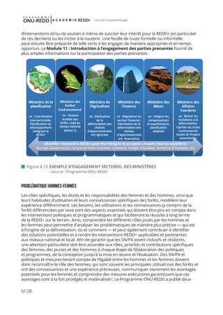 IV-28
Journal d'apprentissage
d’interventions et/ou de soutien à même de susciter leur intérêt pour la REDD+ (en particulier
de ces derniers) ou les inciter à la soutenir. Une feuille de route formelle ou informelle
peut ensuite être préparée de telle sorte à les engager de manière appropriée et en temps
opportun. Le Module 11 : Introduction à l’engagement des parties prenantes fournit de
plus amples informations sur la participation des parties prenantes.
Problématique hommes-femmes
Les rôles spécifiques, les droits et les responsabilités des femmes et des hommes, ainsi que
leurs habitudes d’utilisation et leurs connaissances spécifiques des forêts, modèlent leur
expérience différemment. Les besoins, les utilisations et les connaissances (y compris de la
forêt) différenciées par sexe sont des aspects essentiels qui doivent être pris en compte dans
les interventions politiques et programmatiques et qui faciliteront la réussite à long terme
de la REDD+ sur le terrain. Ainsi, comprendre les différents rôles joués par les hommes et
les femmes peut permettre d’analyser les problématiques de manière plus précise — qui est
à l’origine de la déforestation, où et comment — et peut également contribuer à identifier
des solutions potentielles et à rendre les interventions REDD+ applicables et pertinentes
aux niveaux national et local. Afin de garantir que les SN/PA soient inclusifs et résilients,
une attention particulière doit être accordée aux rôles, priorités et contributions spécifiques
des femmes, des jeunes et des hommes à chaque étape de l’élaboration des politiques
et programmes, de la conception jusqu’à la mise en œuvre et l’évaluation. Des SN/PA et
politiques et mesures tenant compte de l’égalité entre les hommes et les femmes doivent
donc reconnaître le rôle des femmes, qui sont souvent les principales utilisatrices des forêts et
ont des connaissances et une expérience précieuses, communiquer clairement les avantages
potentiels pour les femmes et comprendre des mesures exécutoires garantissant que ces
avantages sont à la fois protégés et matérialisés3
. Le Programme ONU-REDD a publié deux
 Figure 4.15	 EXEMPLE D’ENGAGEMENT SECTORIEL DES MINISTÈRES
	 - Source : Programme ONU-REDD
 