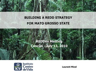 BUILDING A REDD STRATEGY  FOR MATO GROSSO STATE REDDexMetting Cancún - July 13, 2010 Laurent Micol 