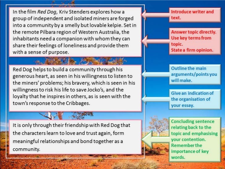Red dog community image