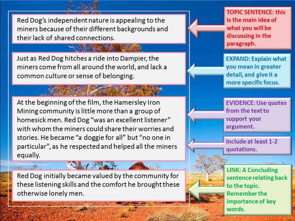 Red dog analysis image
